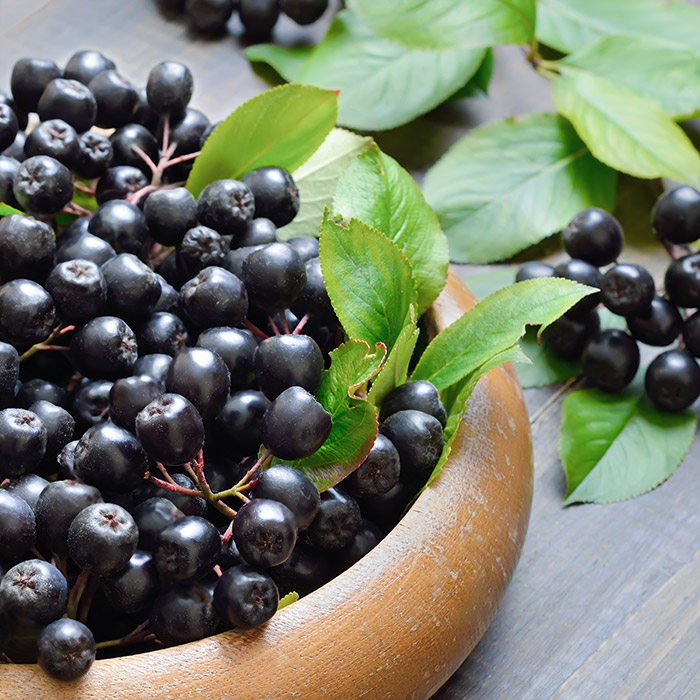 Aronia berry dietary supplement