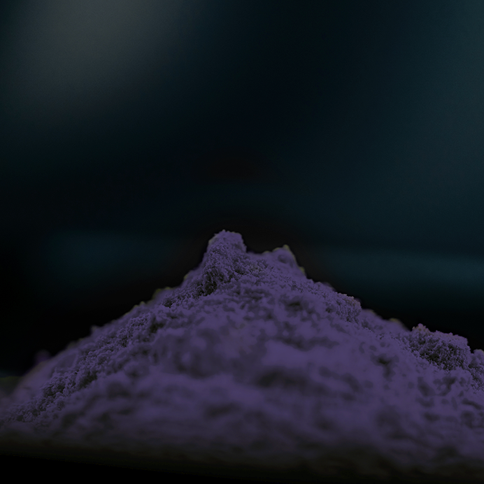Polvere pura di mirtillo selvatico – antiossidante e colorante intenso Un mucchio di polvere di mirtillo selvatico viola scuro su uno sfondo nero