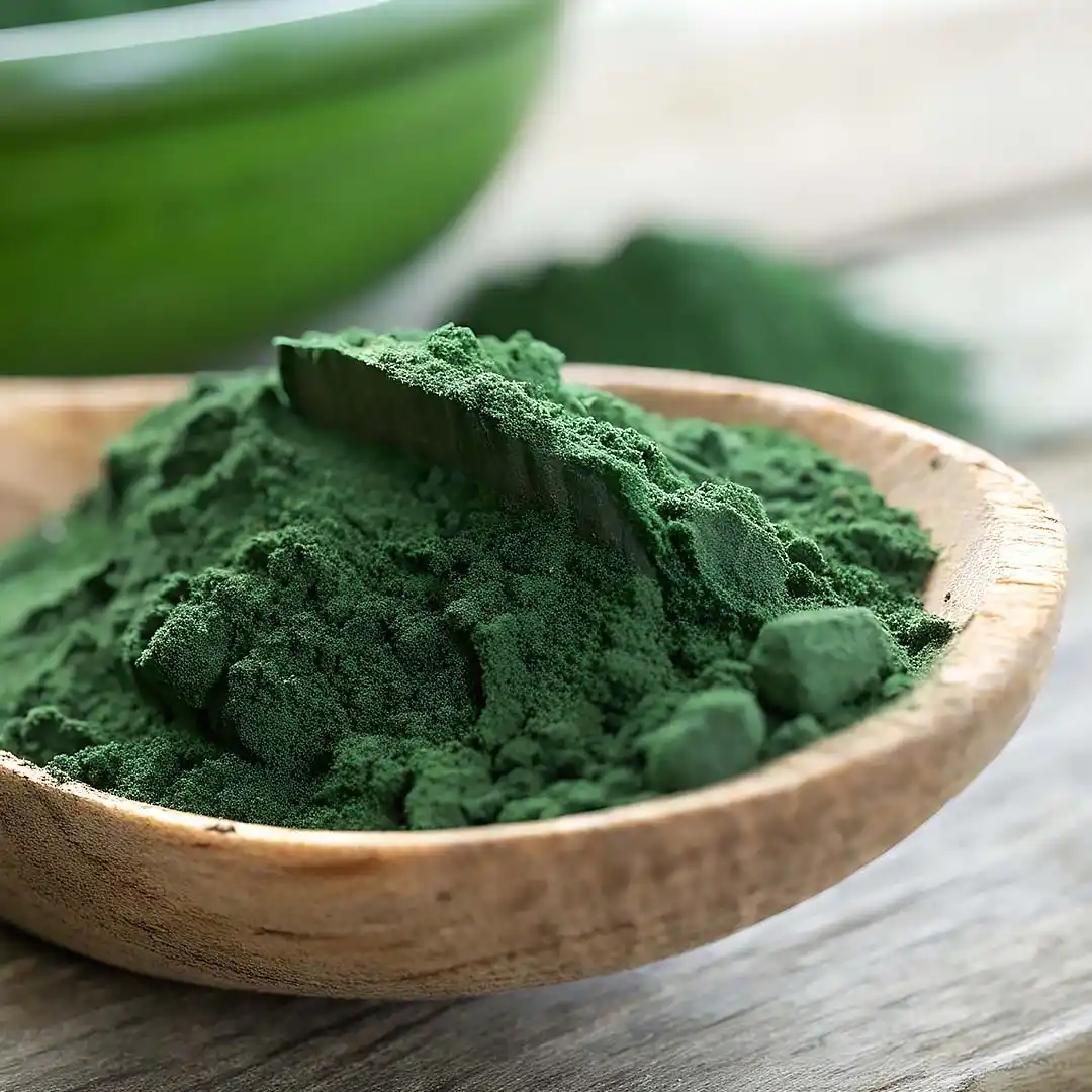 rubyni® Magnesium Grünalgenpulver auf einem Holzlöffel auf einem Tisch vor einer Schale