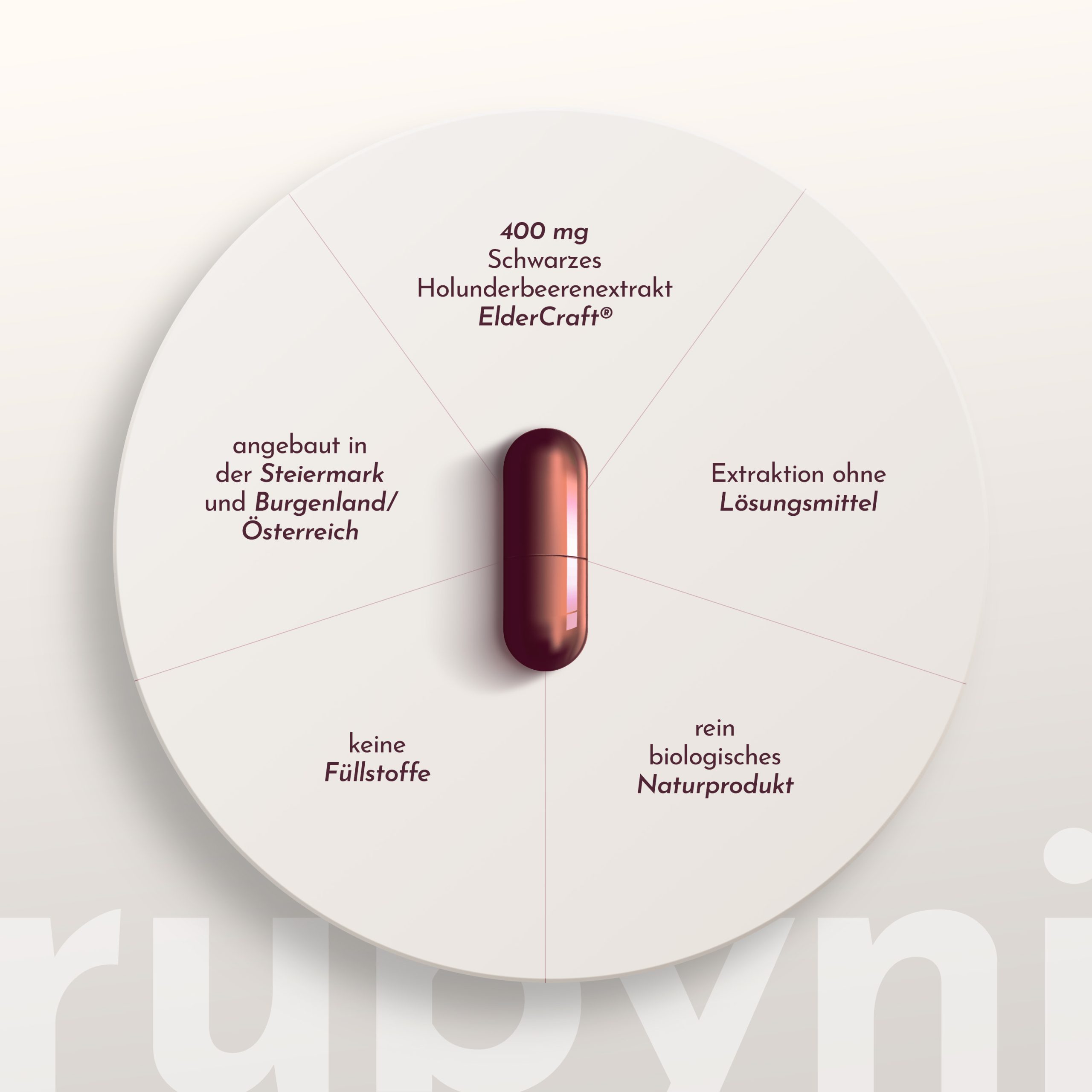 Schema der Vorteile des Produkts rubyni® Edelholunder