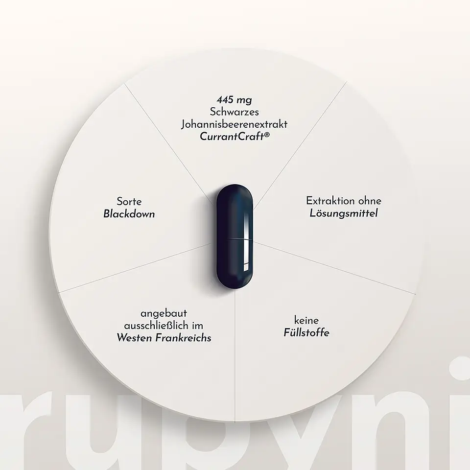 Schema der Vorteile des Produkts rubyni® Schwarze Johannisbeere