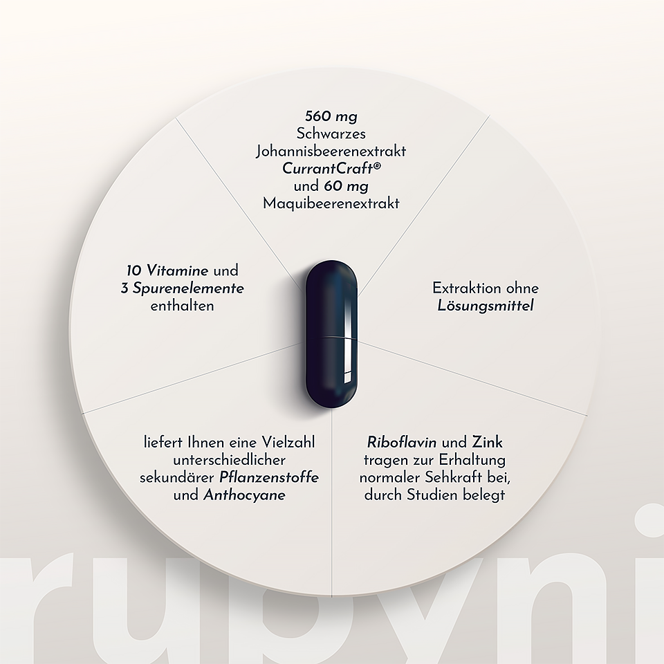 Schema der Vorteile des Produkts rubyni® VISION