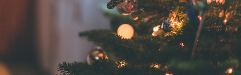 Headerbild für den rubyni Blog-Beitrag „Mit gutem Bauchgefühl durch die Schlemmertage“