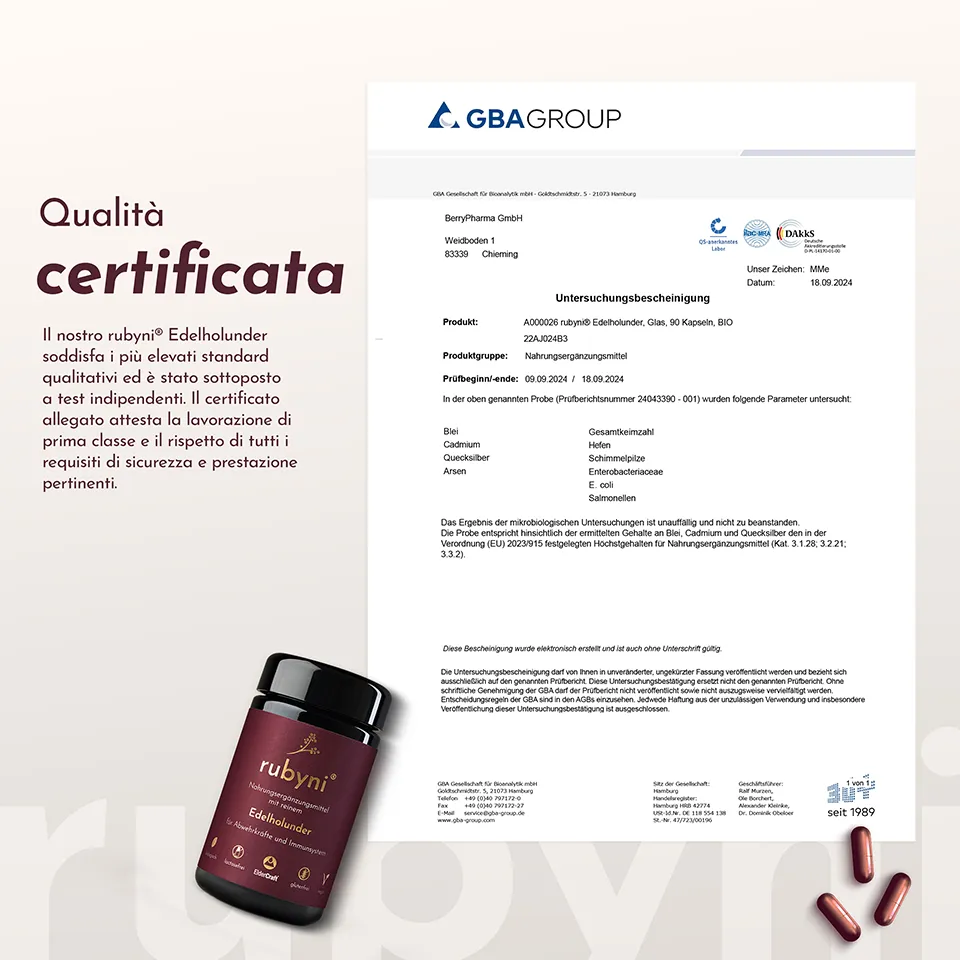 Untersuchungsbescheinigung der GBA Gesellschaft für Bioanalytik mbH