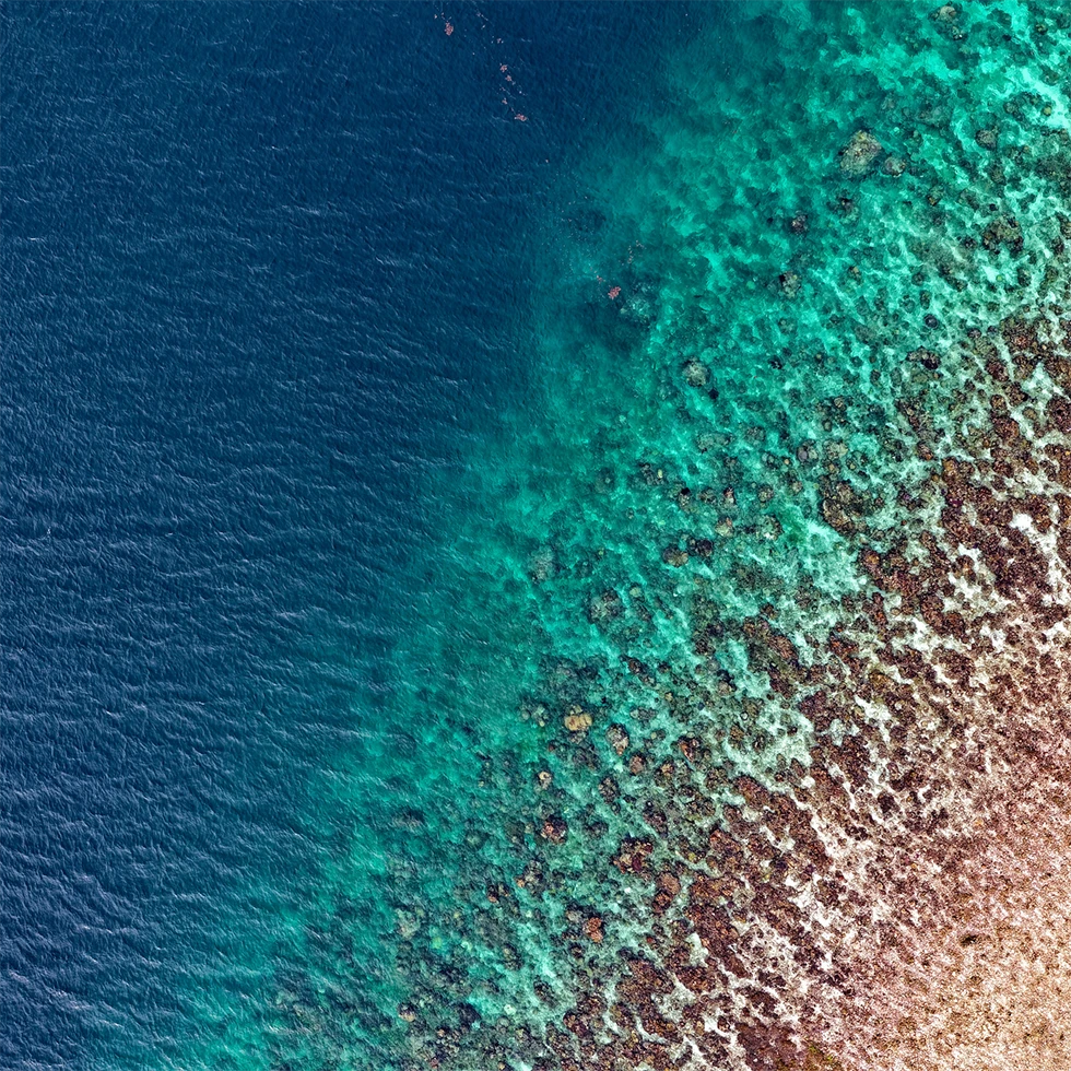 Luftaufnahme eines Ozeans mit fließendem Übergang von tiefblauem Wasser zu türkisfarbenem, flachem Küstenbereich. Unter der Wasseroberfläche sind Strukturen eines Riffs oder felsigen Meeresbodens erkennbar. Das Motiv steht für natürliche Meeresquellen und Reinheit.
