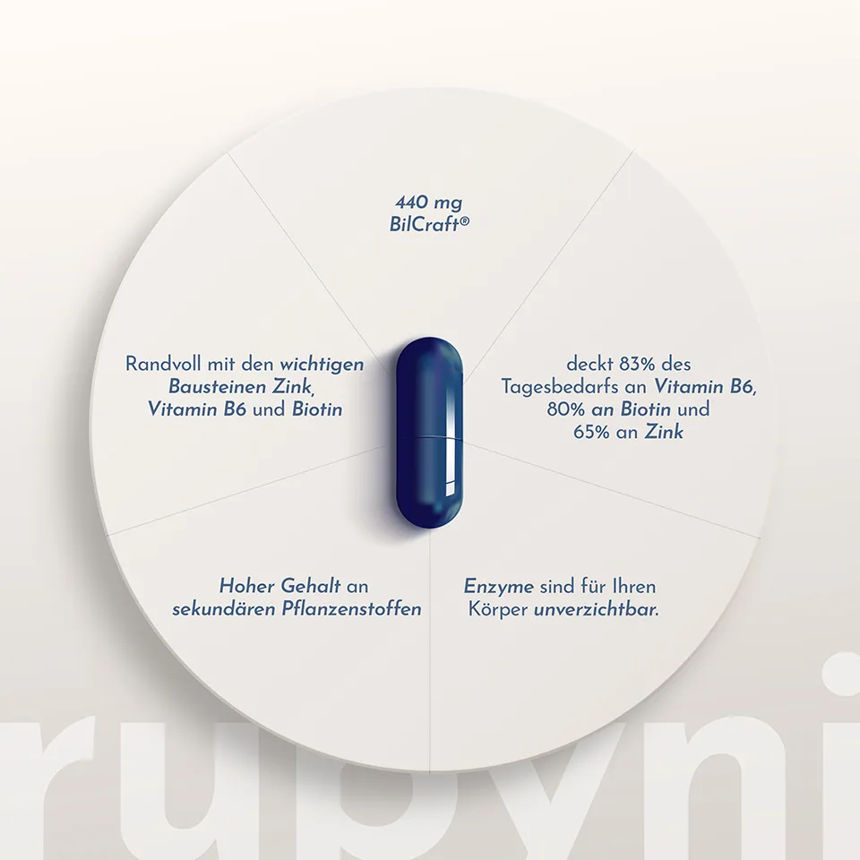 Grafische Darstellung einer blauen Kapsel im Zentrum eines kreisförmigen Informationsdiagramms. Rund um die Kapsel werden wichtige Eigenschaften von rubyni Enzym Plus beschrieben. Hervorgehoben wird der Gehalt von 440 mg BilCraft sowie die enthaltenen Mikronährstoffe Zink, Vitamin B6 und Biotin. Zudem wird dargestellt, dass das Produkt einen hohen Gehalt an sekundären Pflanzenstoffen enthält und einen Beitrag zur täglichen Versorgung mit Vitamin B6 (83 %), Biotin (80 %) und Zink (65 %) leisten kann, während Enzyme als unverzichtbare Bestandteile zahlreicher Körperprozesse beschrieben werden.