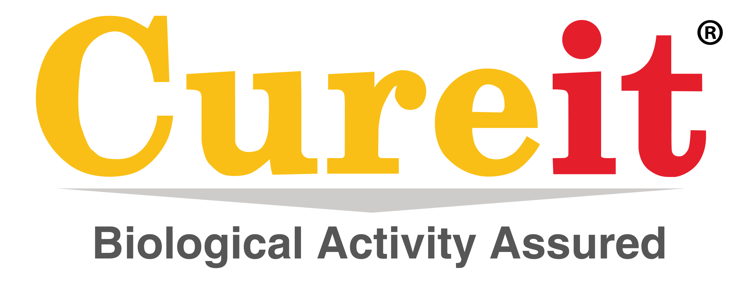 Logo – BilCraft<br />
Schriftzug „BilCraft“ in goldener bzw. gelblicher Typografie auf dunklem Hintergrund. Oberhalb des Namens befindet sich ein rundes, stilisiertes Emblem mit grafischem Symbol, das an ein Blatt oder eine natürliche Form erinnert und den ökologischen bzw. naturbezogenen Charakter der Marke unterstreicht.<br />
