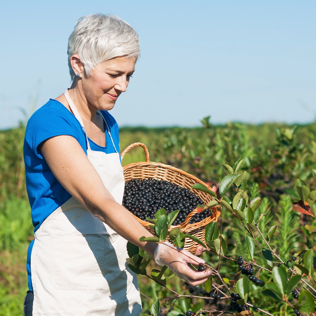 Dunkles Glasfläschchen rubyni Aronia – biologisches, veganes und glutenfreies Nahrungsergänzungsmittel auf weißem Hintergrund
