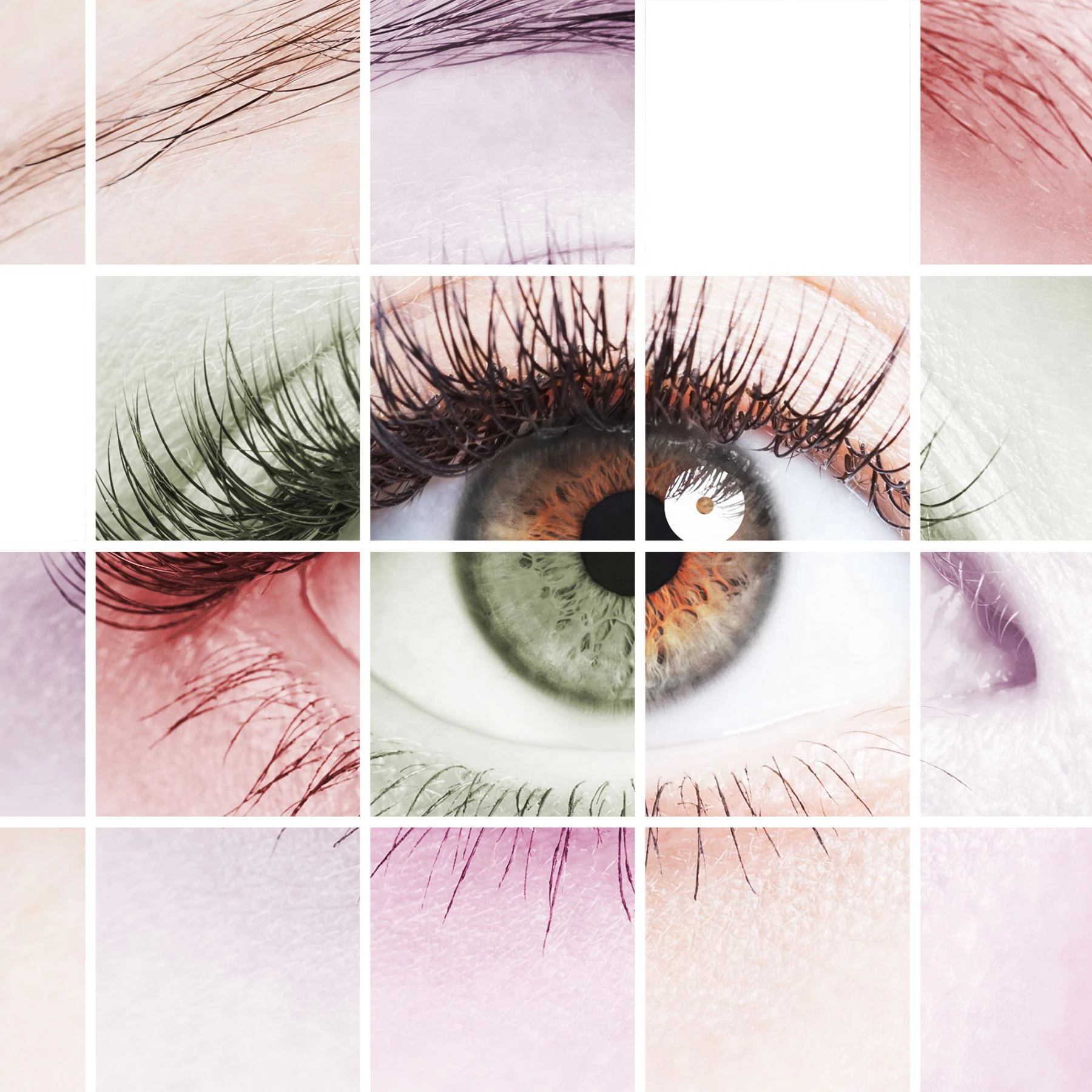 Collage aus Nahaufnahmen verschiedener menschlicher Augen und Augenfarben.